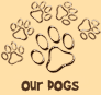 [our dogs]